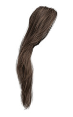 3d render long straight brown hair isolated