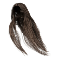 3d render long straight brown hair isolated