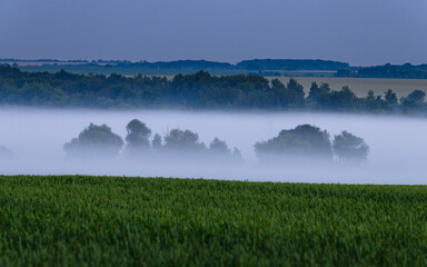 morning mist over the river