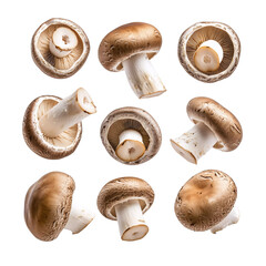 Brown cremini mushrooms collection, cut out  
