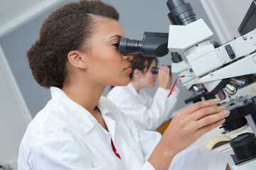 medical technicians observing under the microscopes