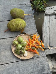 Besuch auf einer Ops- und Gemüsefarm in Vietnam