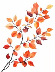 A branch with autumn leaves isolated