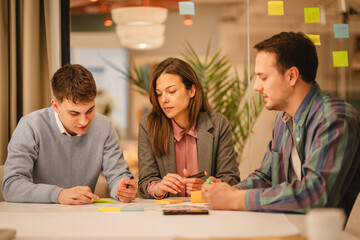 Fototapeta premium males and female colleagues work together on new project in office
