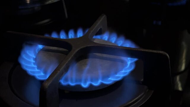 Blue gas flame burning on modern stove burner for cooking heat. Manually home kitchen stove