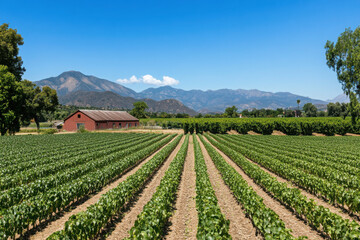 Lush green crops stretch across a rural farm with a red barn and mountain backdrop under a clear blue sky.