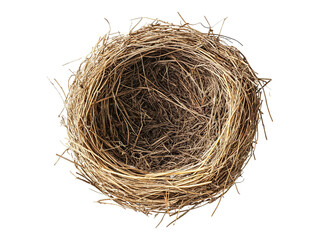 Obraz premium birds nest of hay