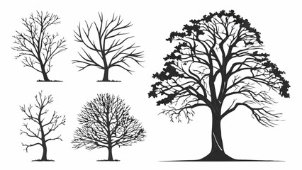Obraz premium Set Variations of Vector Trees Icon