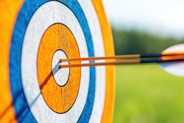Classic archery target with arrows striking the bullseye in a grassy field during a sunny day set in a natural outdoor environment