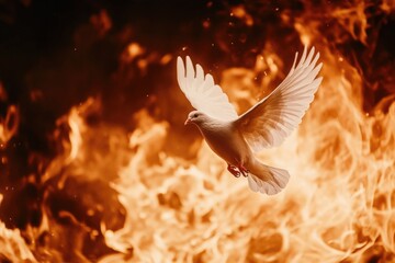 Obraz premium White Dove Flying Near Fire