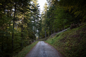 Italian villages and forests in the alps in Piedmont
