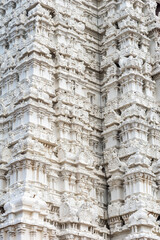 Elaborate carvings adorn the walls of Srirangam temple in Tamil Nadu, highlighting the rich cultural heritage and intricate design elements of the structure.