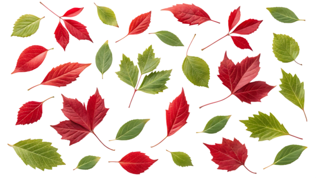 seamless pattern with autumn leaves