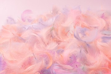 Colorful feather background, top view.