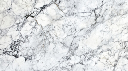 Obraz premium Elegant white marble texture with intricate gray veining pattern