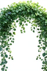 Lush Greenery Arch Decorated with Vibrant Leaves Creating a Natural and Refreshing Atmosphere for Events, Weddings, or Photography Backdrops