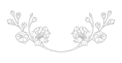 Beautiful vignette of apricot blossoms and buds in a graceful thin line. Japanese sakura flowers frame, outline. Hand drawn sketch of cherry, plum, or peach blossom branch. Vector illustration