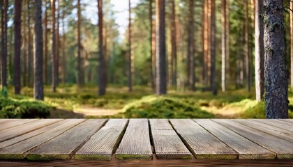Serene Boreal Forest Backdrop with Rustic Table A Blissful Escape into the Quiet Wilderness, Evoking Tranquility and Inspiration for Nature Lovers