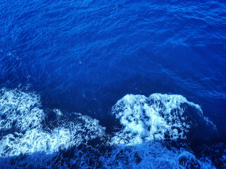 coral reef in the blue sea