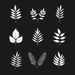 Nature Inspired Botanical Illustration: Silhouette of Decorative Leaves and Foliage on Black Background