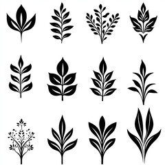 Black and White Botanical Silhouette: Modern Floral Design Illustration in Minimalist Eco-Friendly Style