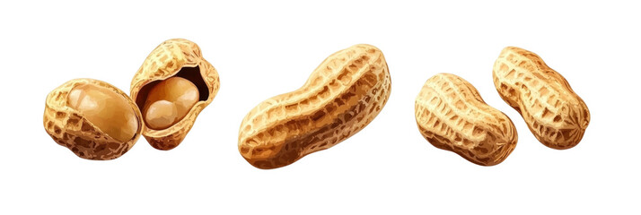 peanuts isolated on white background
