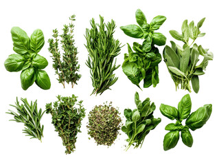 Isolated Mixed Herbs