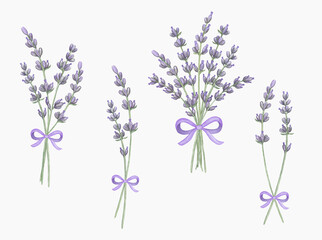 Naklejka premium Watercolor lavender bouquets. Hand painted lavender bouquets isolated on white background.