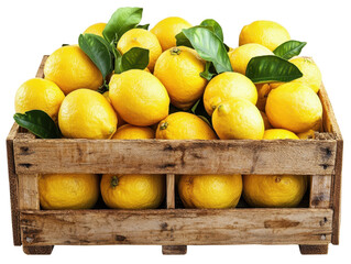 Isolated Wooden Box Filled With Lemons on White Background