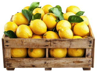 Isolated Wooden Box Filled With Lemons on White Background