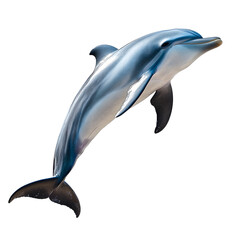Obraz premium dolphin on a transparent background png isolated Generative Ai