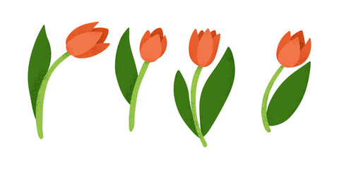 Stylized digital illustration of four red tulips with green leaves in a textured, minimalistic design on a white background. Vector hand drawn set isolated on white background