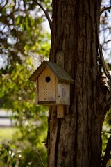 homemade wood bird house on tree