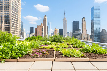 Fototapeta premium rooftop urban garden sanctuary, vertical botanical architecture