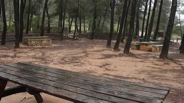Paseando con el perro en la naturaleza con d&iacute;a de ligera ll&uacute;via, Alcoy, Espa&ntilde;a