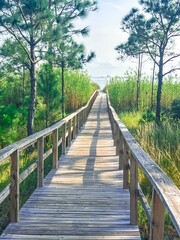 Fototapeta premium Summer walk to the beach