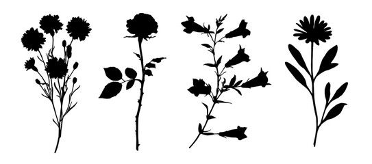 Naklejka premium Silhouette black flower. Abstract botanical floral elements. Set of simple plants
