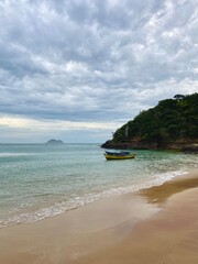 tropical beach in brazil 