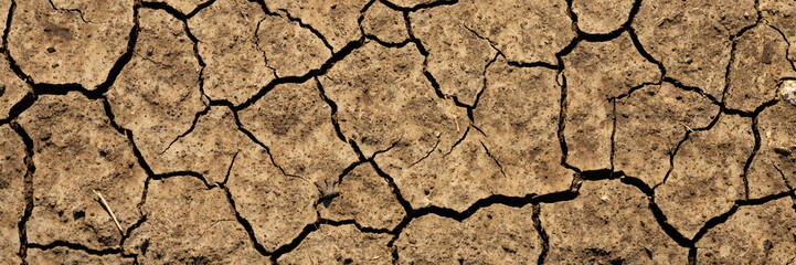 Texture of cracked dried soil. Dry ground with cracks. Brown rough surface of the soil during summer drought. Wide panoramic background for design. Ecology, climate change and global warming on Earth.