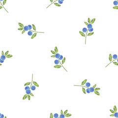 Blueberry.  Seamless vector pattern with hand wild berries on a white background. Perfect for design templates, wallpaper, wrapping, fabric, print and textile.