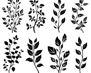 Black leaf branch silhouettes on white