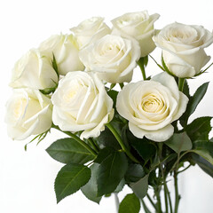 Fototapeta premium Elegant Bouquet of Cream Roses Pure Love and Beauty a Romantic Gift
