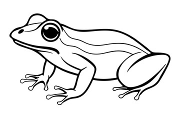 frog silhouette line art vector illustration with a white background
