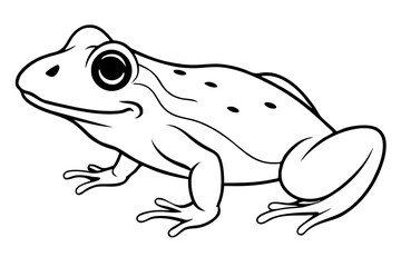 frog silhouette line art vector illustration with a white background