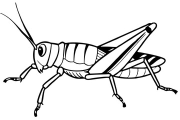 grasshopper silhouette line art vector illustration with a white background
