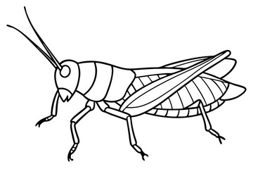 grasshopper silhouette line art vector illustration with a white background