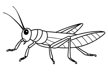 grasshopper silhouette line art vector illustration with a white background