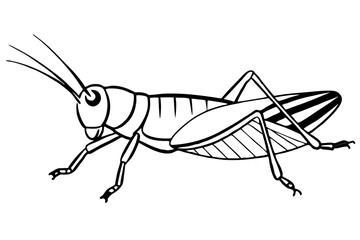 grasshopper silhouette line art vector illustration with a white background