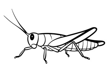 grasshopper silhouette line art vector illustration with a white background