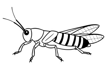 grasshopper silhouette line art vector illustration with a white background